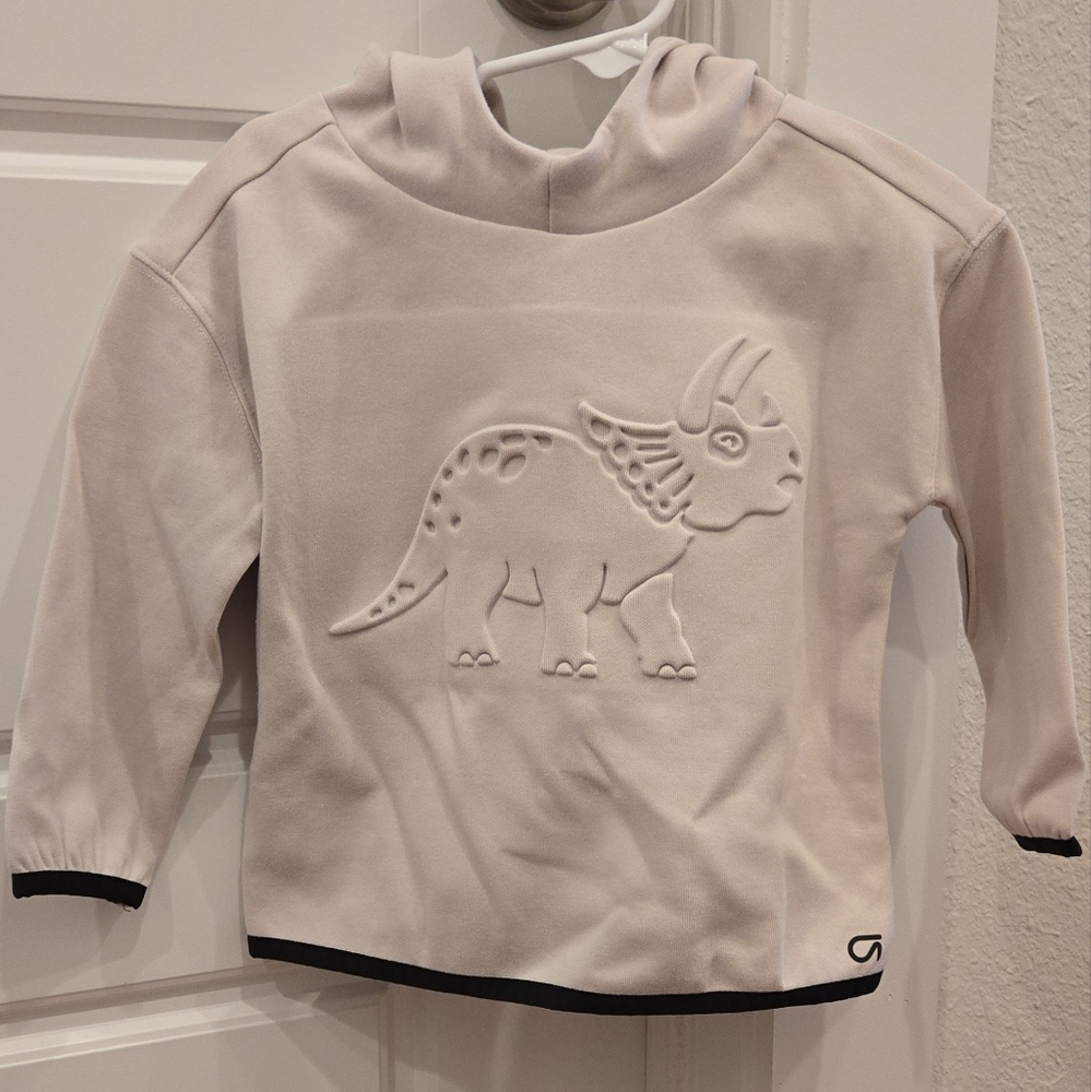 Gap Toddler Hoodie